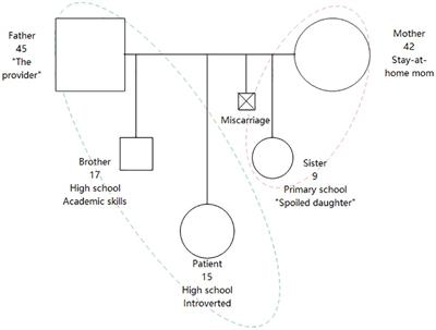 Case report: Dissociative neurological symptom disorder with gait disturbance: taking after the father?